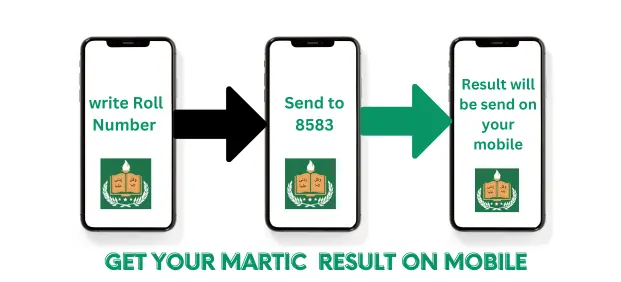 9th Class Result 2024 Check By Roll Number, Name, and SMS - SSC Part 1  Result